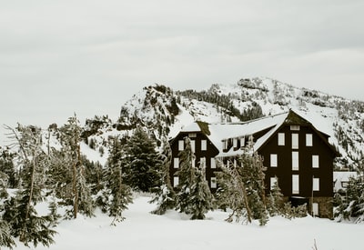 积雪覆盖的房屋
